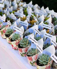 Eco-Friendly Wedding Return Gifts Guests Will Love