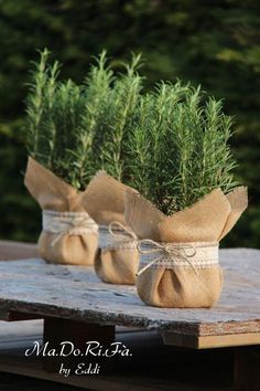 jute planter