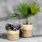 natural planter,