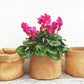 jute planter