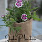 Round Jute Planter set of 4