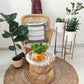 Handmakers Comfortable Relaxing Bamboo Mudda Chair with White color