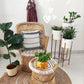 Handmakers Comfortable Relaxing Bamboo Mudda Chair with White color
