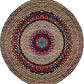 Handwoven Jute & Cotton area rug multicolore