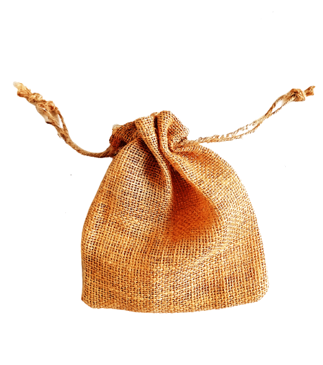 Lord Ganesha Gift Bag